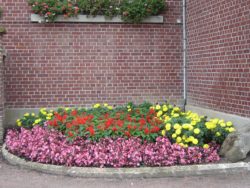 0_devant mairie